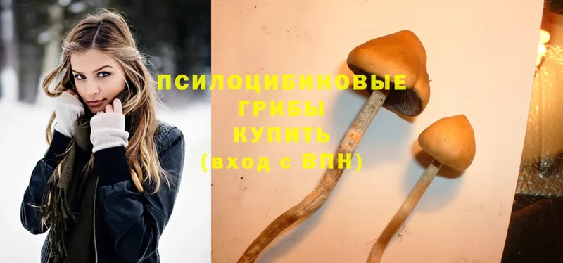 Галлюциногенные грибы MAGIC MUSHROOMS  Казань 